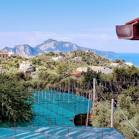 La Lobra Dependance Βίλα Massa Lubrense Εξωτερικό φωτογραφία